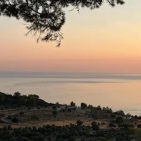 Riviera Vilă *